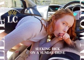 Sucking Dick on a Sunday Drive