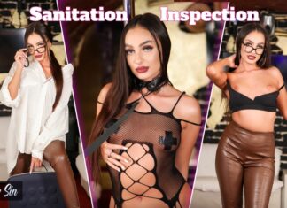 Sanitation Inspection