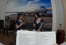 Emily Pink and Madison Quinn: Flight Attendants