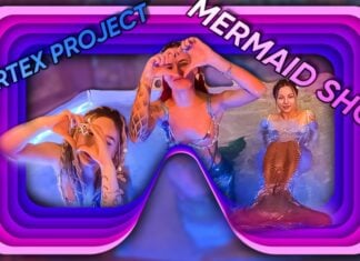 Vortex Project: MERMAIDS. Part 1